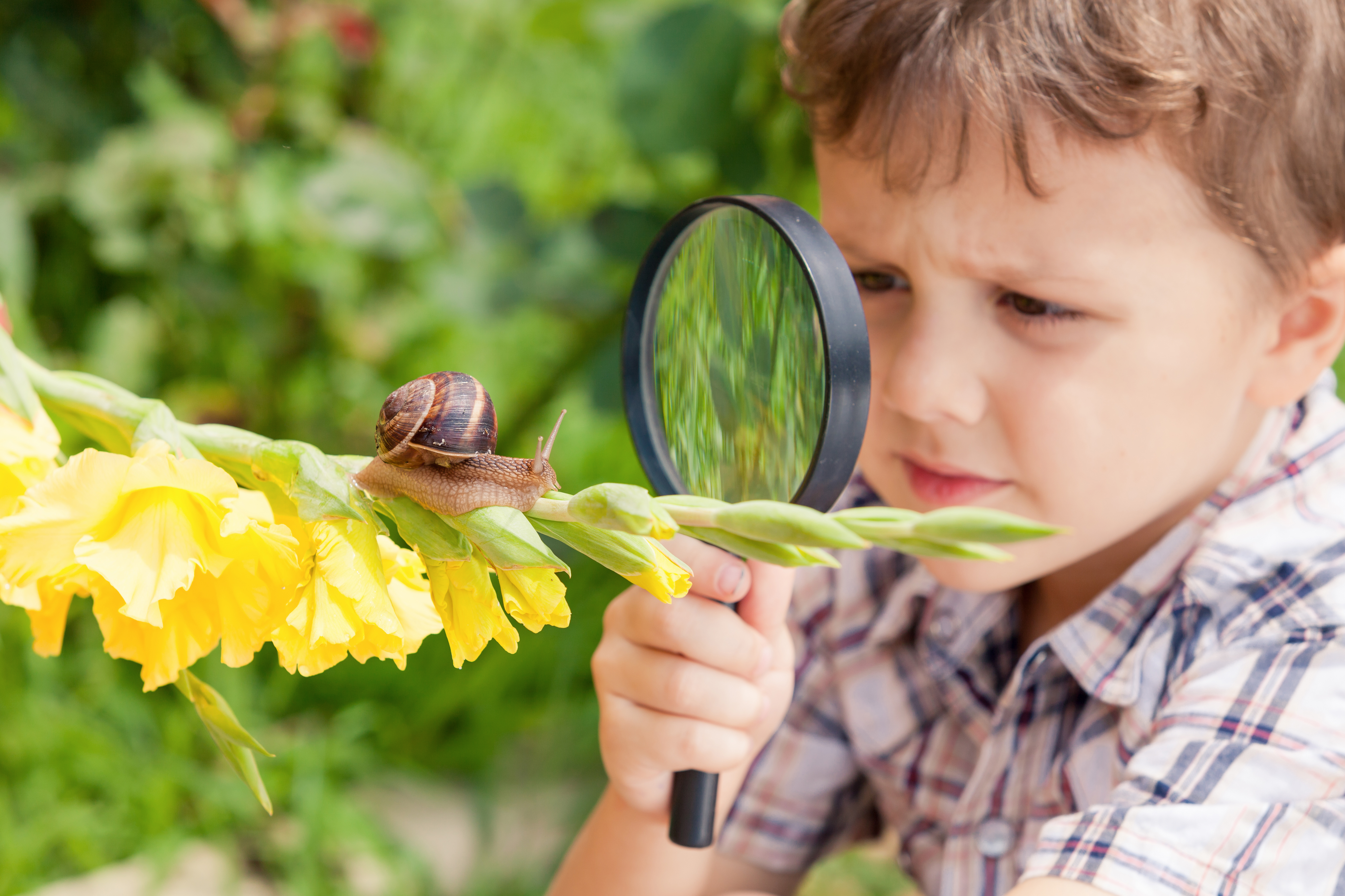 ResponsiveEd Classical Academies to Include Comprehensive Nature Study Curriculum