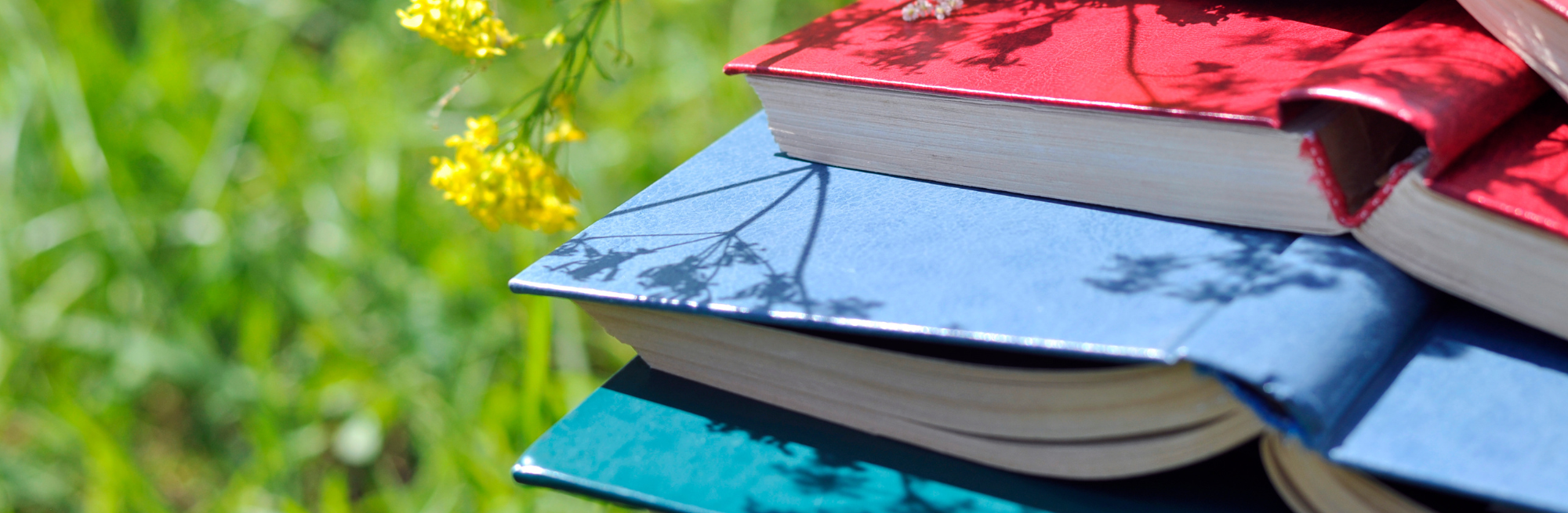 How to Combat Learning Loss During Summer Break